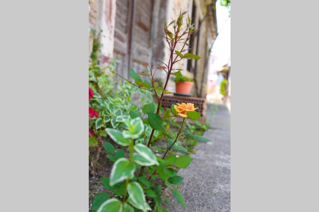 Charming Apartment In Town Center พูลา ภายนอก รูปภาพ